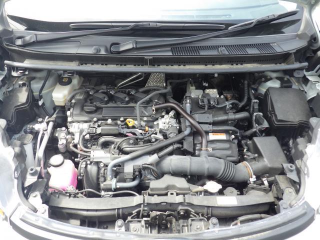 24995859_carP_l_20.jpg