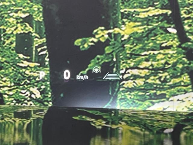26622732_carP_l_17.jpg