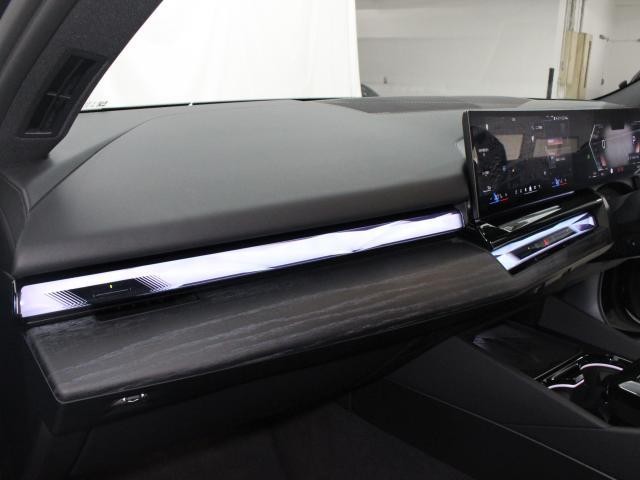 26562834_carP_l_16.jpg