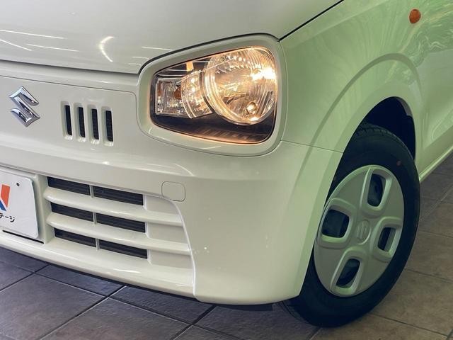 25015377_carP_l_7.jpg