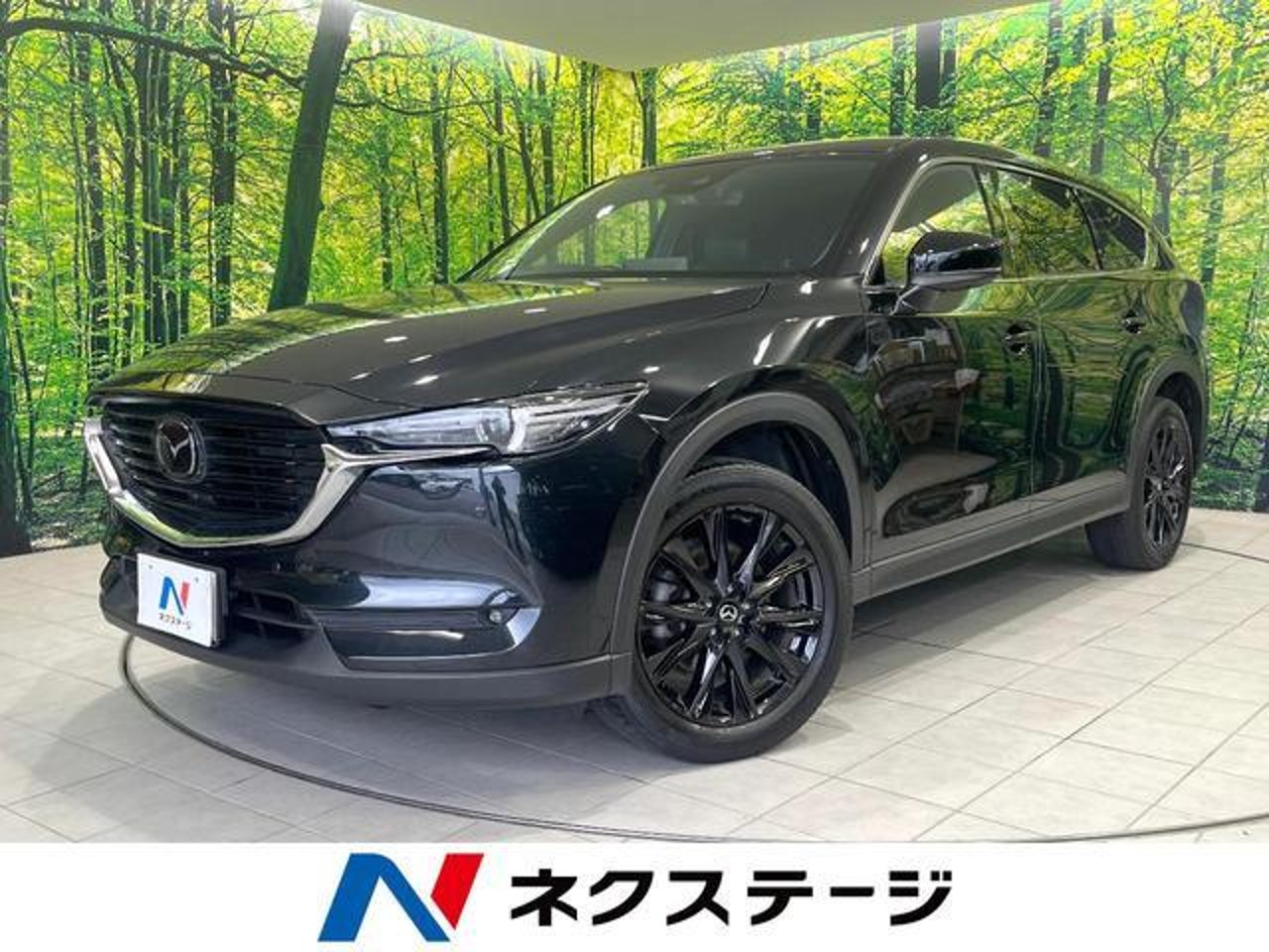 2021 Mazda Cx8, photo 1 of 1