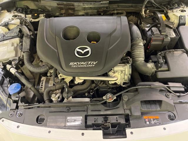 26731227_carP_l_16.jpg