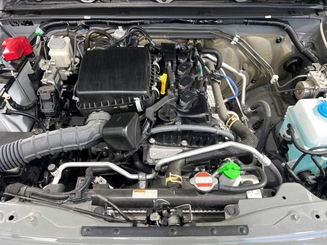 25405012_carP_l_16.jpg
