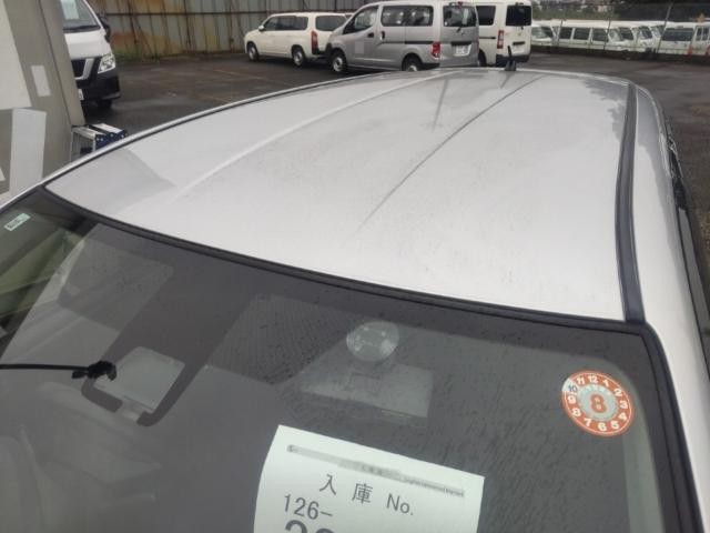 27004181_carP_l_14.jpg