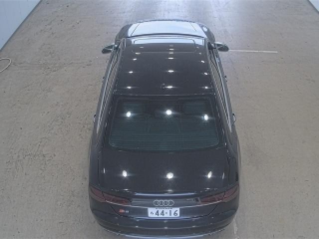 25555517_carP_l_10.jpg