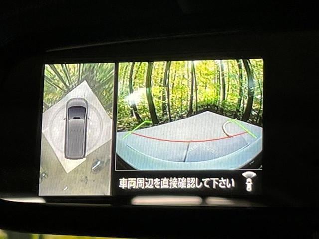 18143573_carP_l_15.jpg