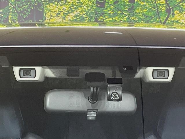 25714769_carP_l_10.jpg