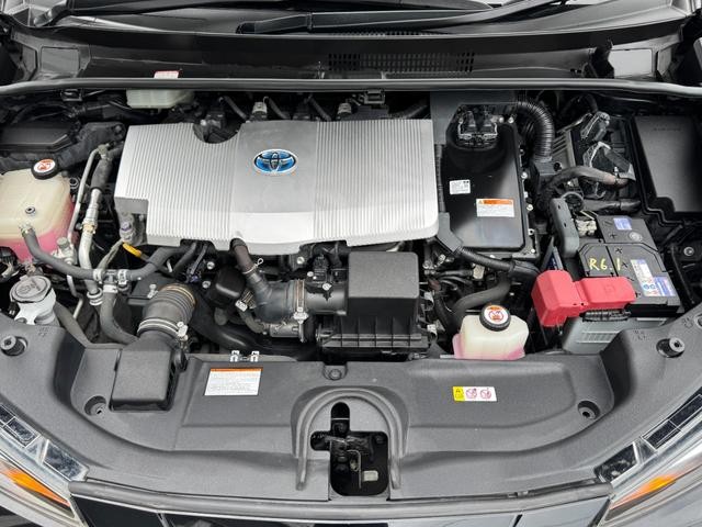 0207464A30260902W00319.jpg