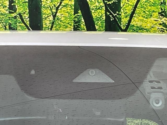 26085046_carP_l_10.jpg