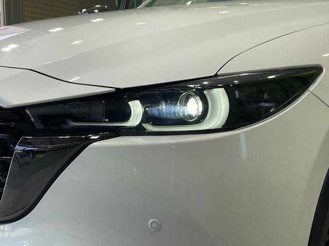 26085046_carP_l_6.jpg