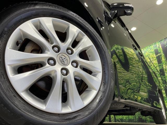 26902259_carP_l_8.jpg