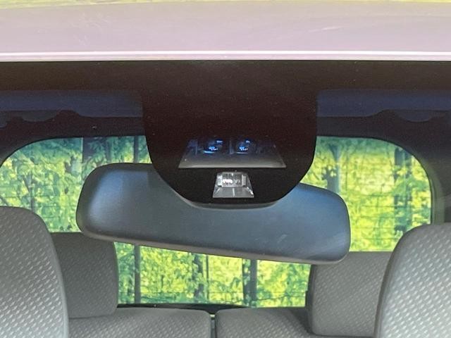 25754298_carP_l_15.jpg