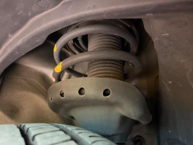 25323681_carP_l_20.jpg