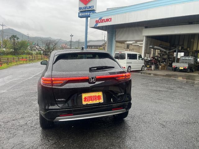 0401010A30260916W00204.jpg