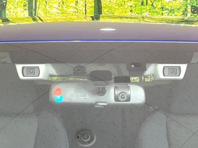 26085076_carP_l_15.jpg