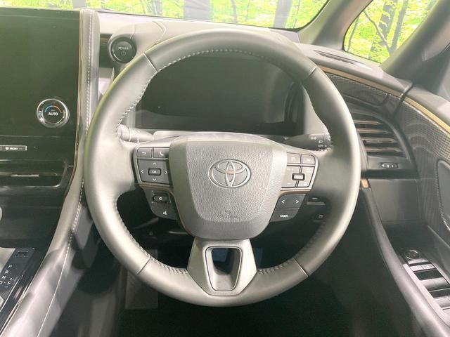 26085078_carP_l_6.jpg