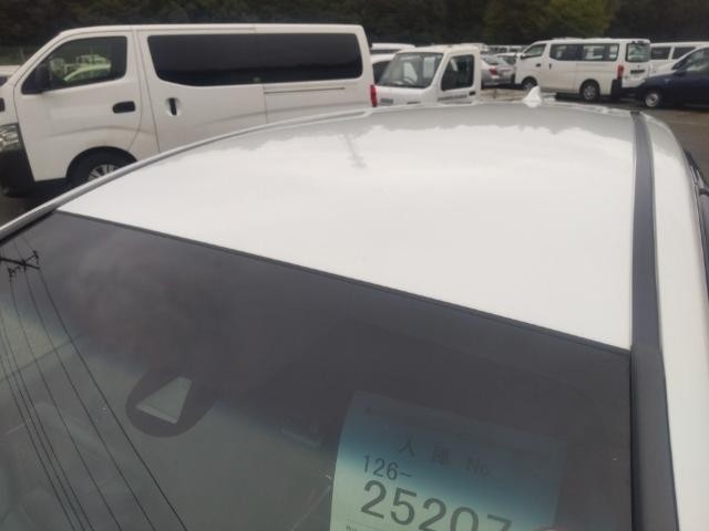 27004190_carP_l_14.jpg