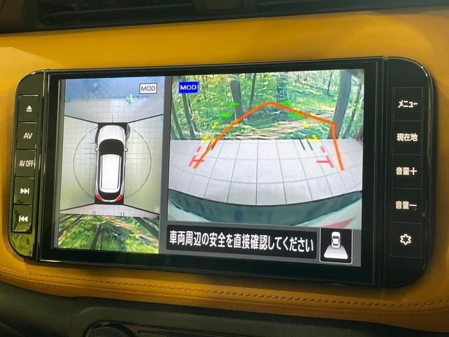25096990_carP_l_4.jpg