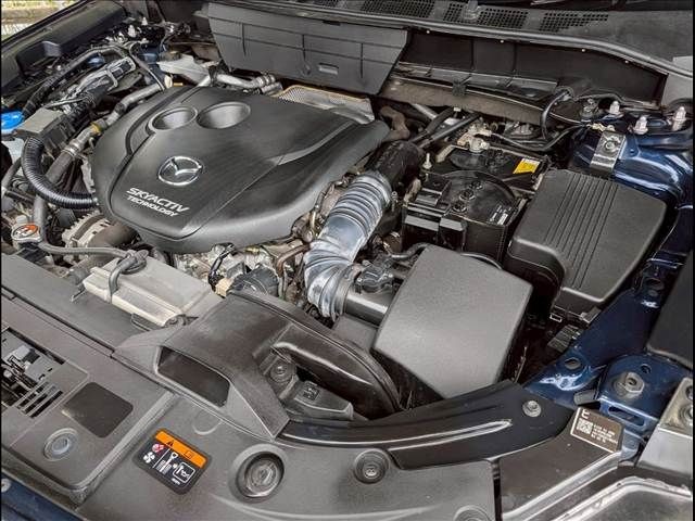 ce67ed136f426648a9396b95302ef998.jpg