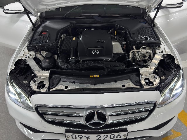 f569e23832938a7d5ffd19d652065206.jpeg