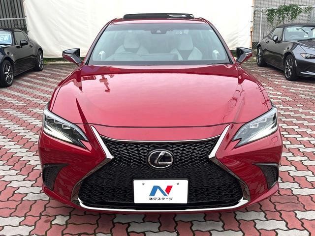 26599560_carP_l_8.jpg