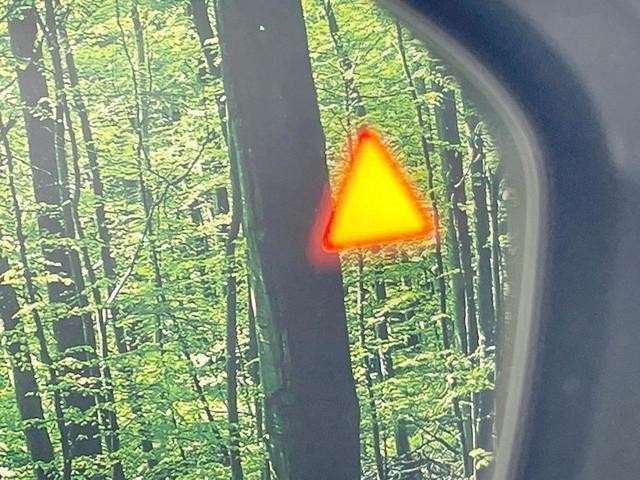 25405280_carP_l_10.jpg