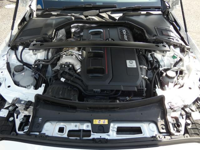 23694562_carP_l_20.jpg