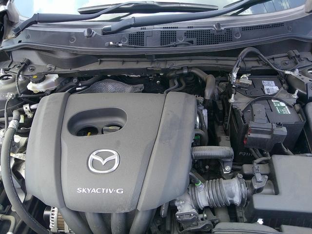 0509929A30260720W00414.jpg