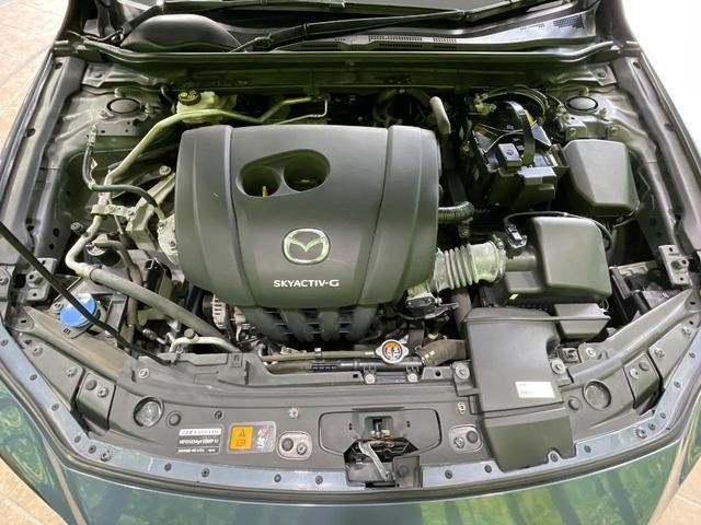 26231023_carP_l_18.jpg