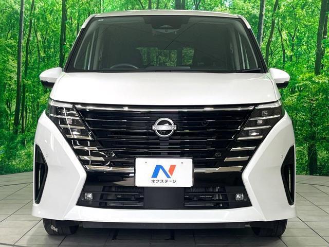 24562247_carP_l_12.jpg