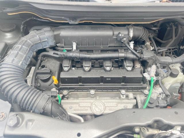 25323809_carP_l_18.jpg