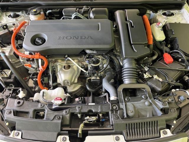 26445960_carP_l_18.jpg