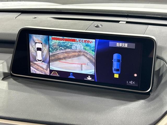 26861772_carP_l_4.jpg