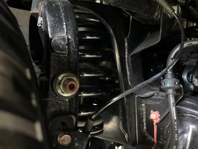 26043988_carP_l_20.jpg