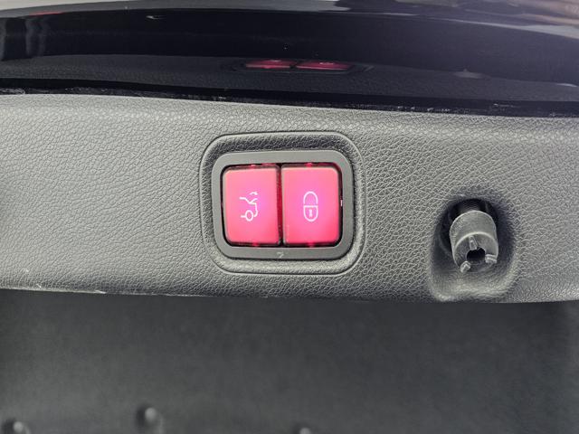 63c73b55c7e7191d66b6b70ff004f956.jpeg