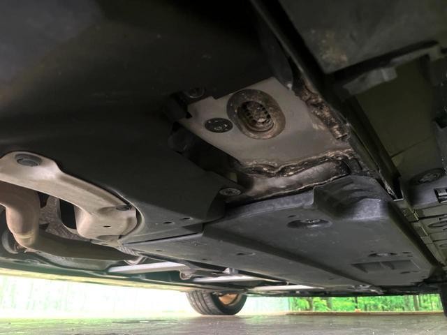 25055934_carP_l_16.jpg