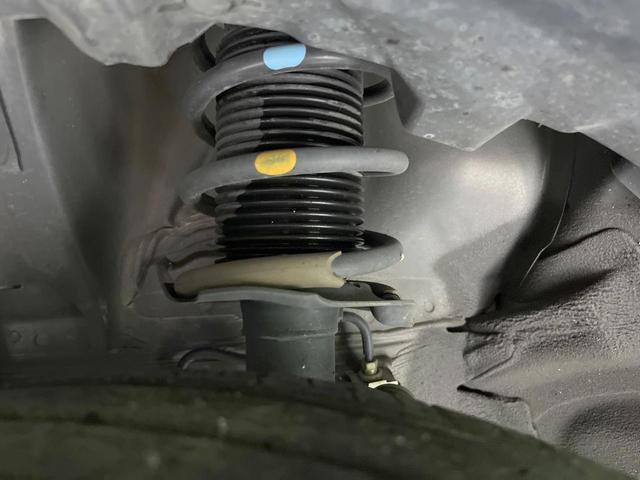 24562290_carP_l_20.jpg