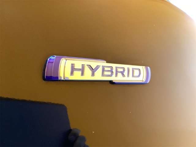 97c4b54cce74dd90a088f083292963ca.jpg