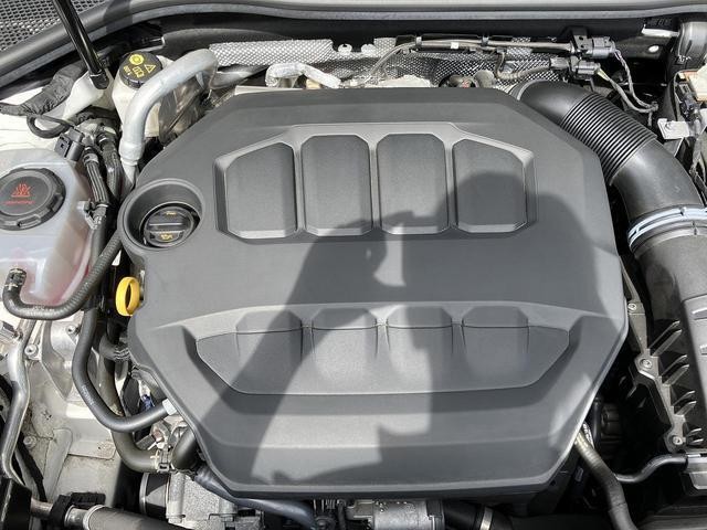 26573227_carP_l_12.jpg