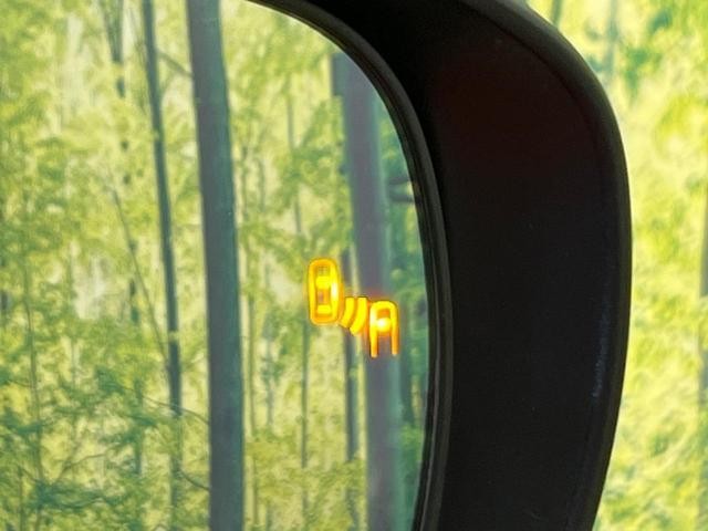 24869086_carP_l_17.jpg