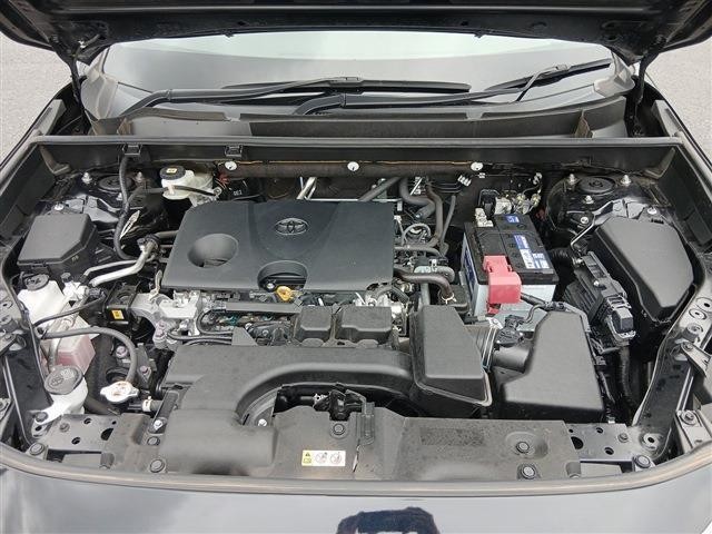26417762_carP_l_20.jpg