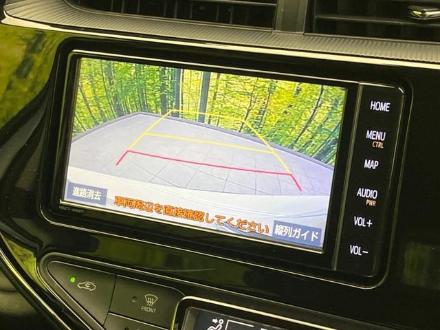 24869374_carP_l_4.jpg