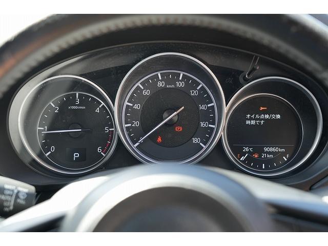 23497068_carP_l_9.jpg