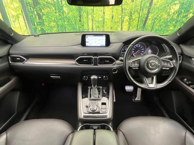 24994235_carP_l_3.jpg