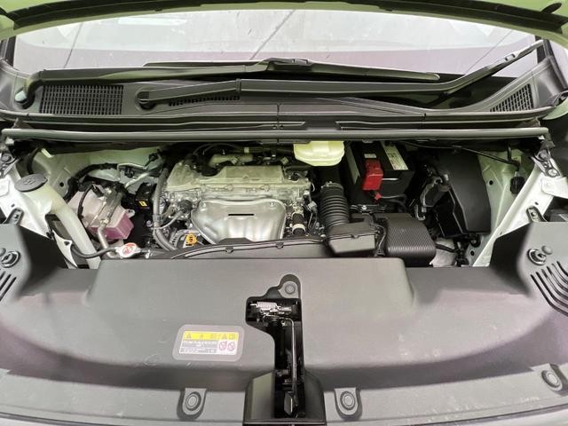 24561821_carP_l_18.jpg