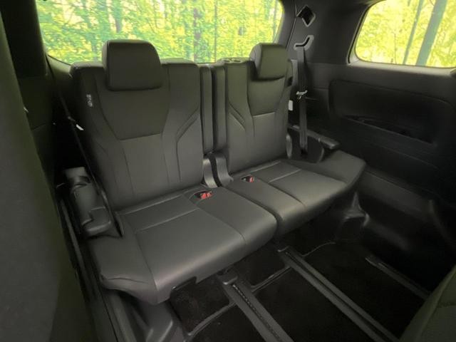 24561821_carP_l_6.jpg