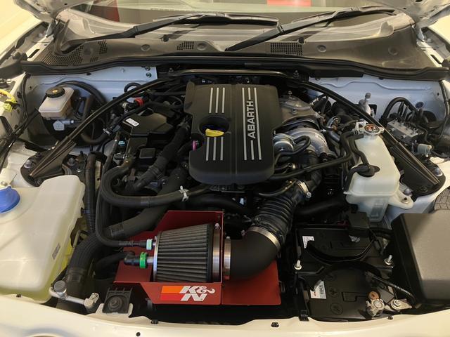 24069797_carP_l_18.jpg