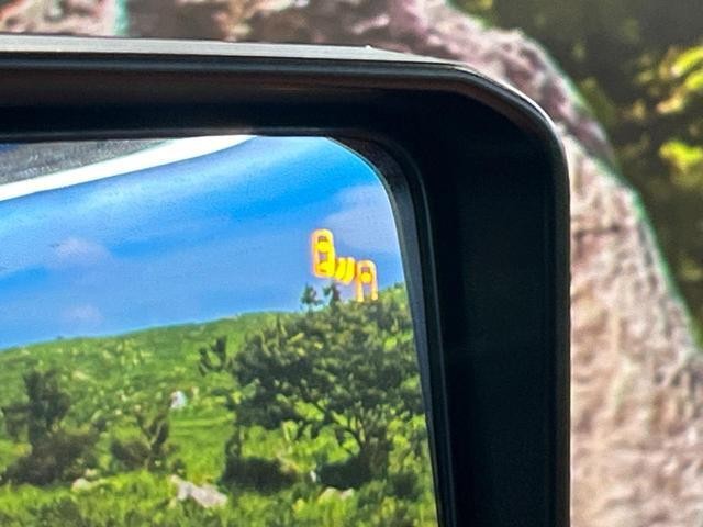 26794568_carP_l_14.jpg