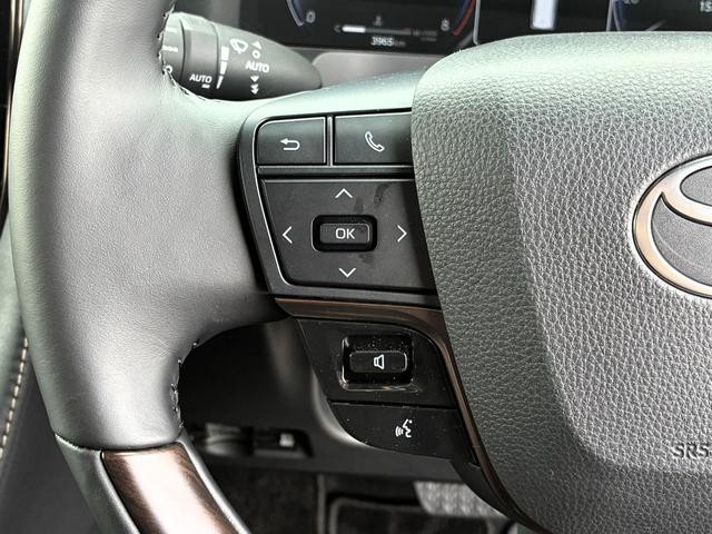 0520203A30260615W00114.jpg