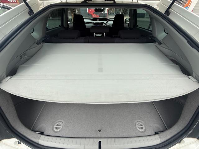 23516786_carP_l_7.jpg